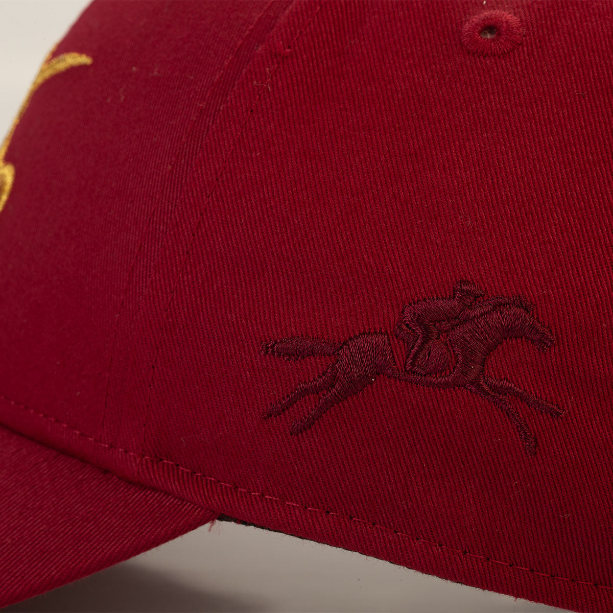 CABALLERÍA CAP
